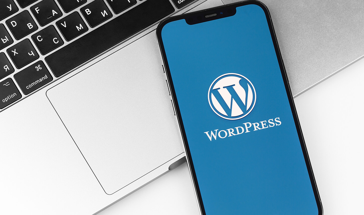 Setting up a WordPress website